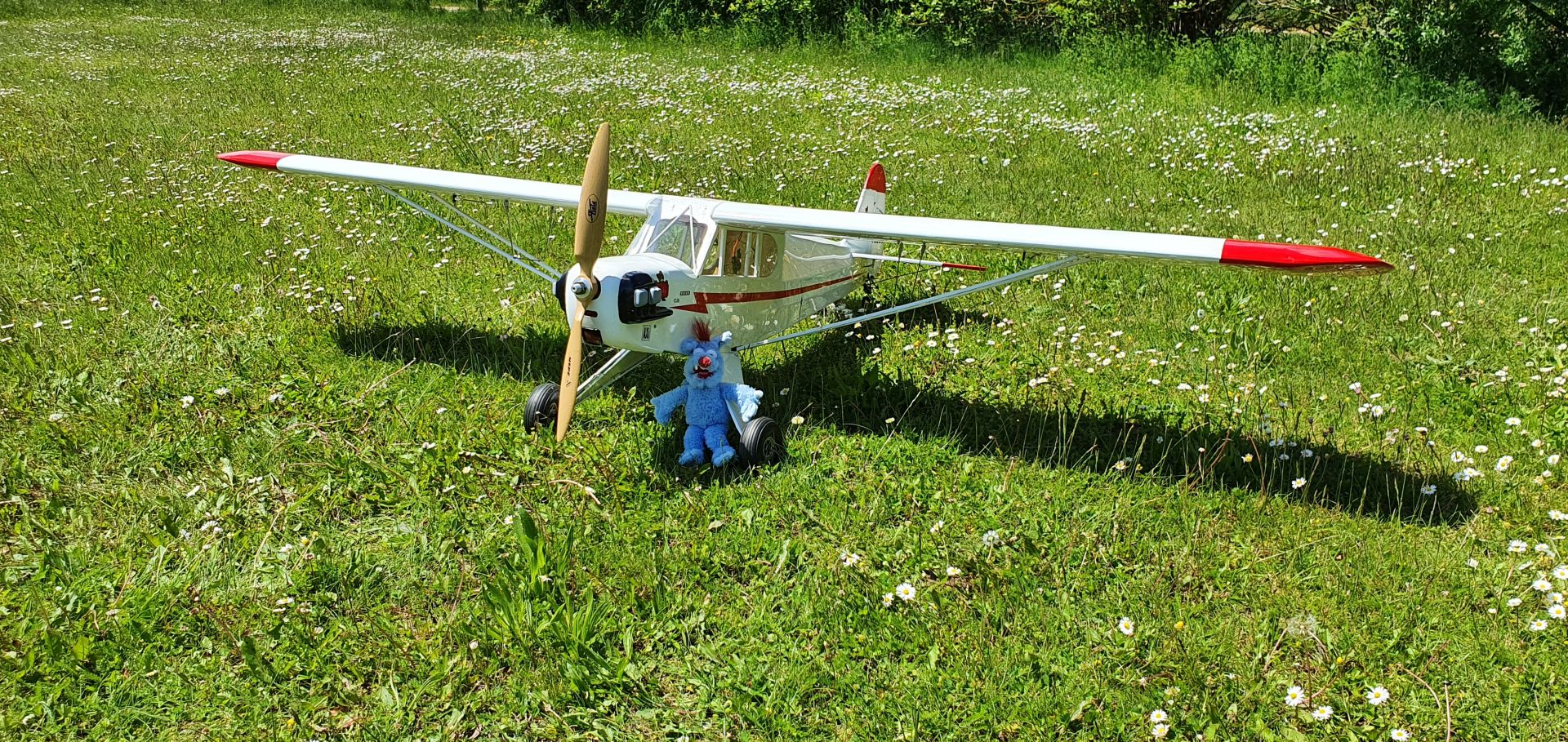 SIG Piper J3 Cub